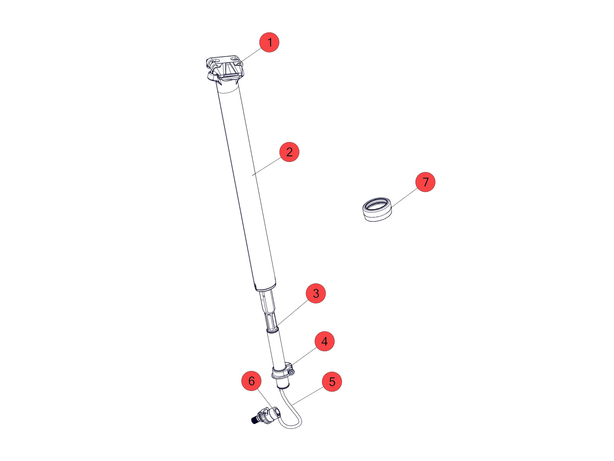 Autodrop Post Anodized Autodrop Post Nickel Black – BMC Switzerland AG